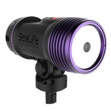 Load image into Gallery viewer, Sea Dragon Fluoro-Dual Beam Light Kit
