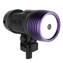 Load image into Gallery viewer, Sea Dragon Fluoro-Dual Beam Light Kit