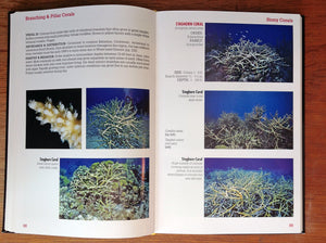 Reef Coral Identification 3rd Edition