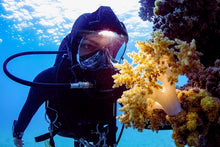 Load image into Gallery viewer, Ocean Reef Vesper Integrated Head Lamp