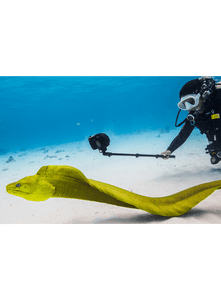 Sealife Aquapod Mini