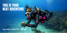 Load image into Gallery viewer, PADI Divemaster
