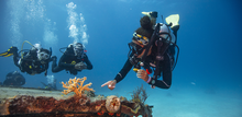 Load image into Gallery viewer, PADI Divemaster
