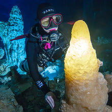 Load image into Gallery viewer, Shearwater Perdix 3 Dive Computer
