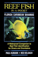 Load image into Gallery viewer, Reef Fish-In-A Pocket: Florida Caribbean Bahamas
