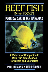 Reef Fish-In-A Pocket: Florida Caribbean Bahamas