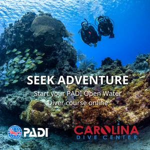 Open Water (Beginner) Scuba Lessons - In Water Training (Part II)