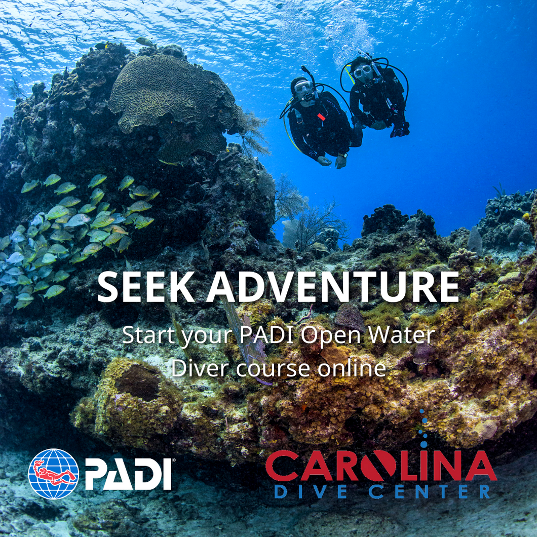 Open Water (Beginner) Scuba Lessons - In Water Training (Part II)