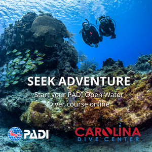 Spring Break Open Water Scuba Camp