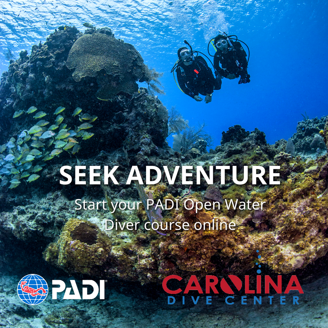 Spring Break Open Water Scuba Camp