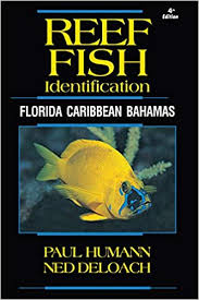 Reef Fish Identification 4th EDITION Florida Caribbean Bahamas